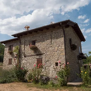 La Piana Dei Castagni Farm stay
